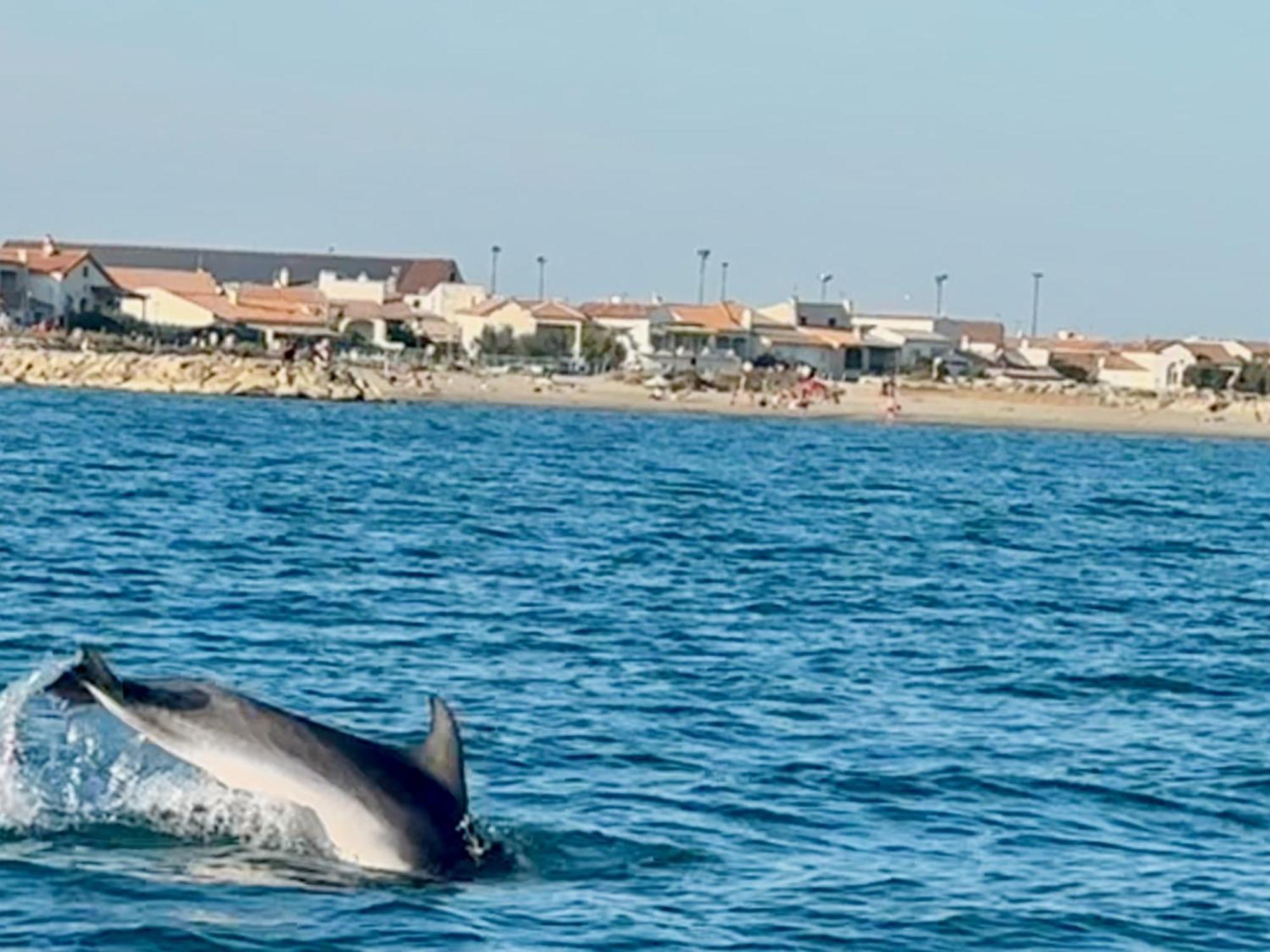Mas Du Couvin, Maison D'Hotes En Camargue Saintes-Maries-de-la-Mer Eksteriør bilde
