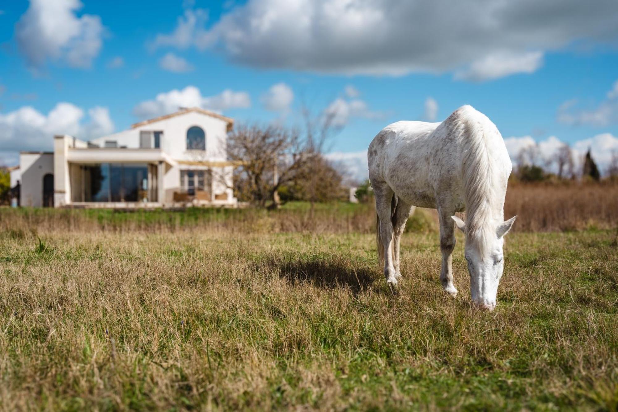 Mas Du Couvin, Maison D'Hotes En Camargue Saintes-Maries-de-la-Mer Eksteriør bilde