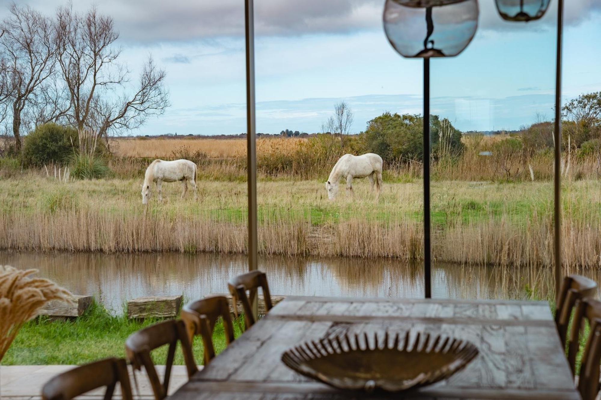 Mas Du Couvin, Maison D'Hotes En Camargue Saintes-Maries-de-la-Mer Eksteriør bilde